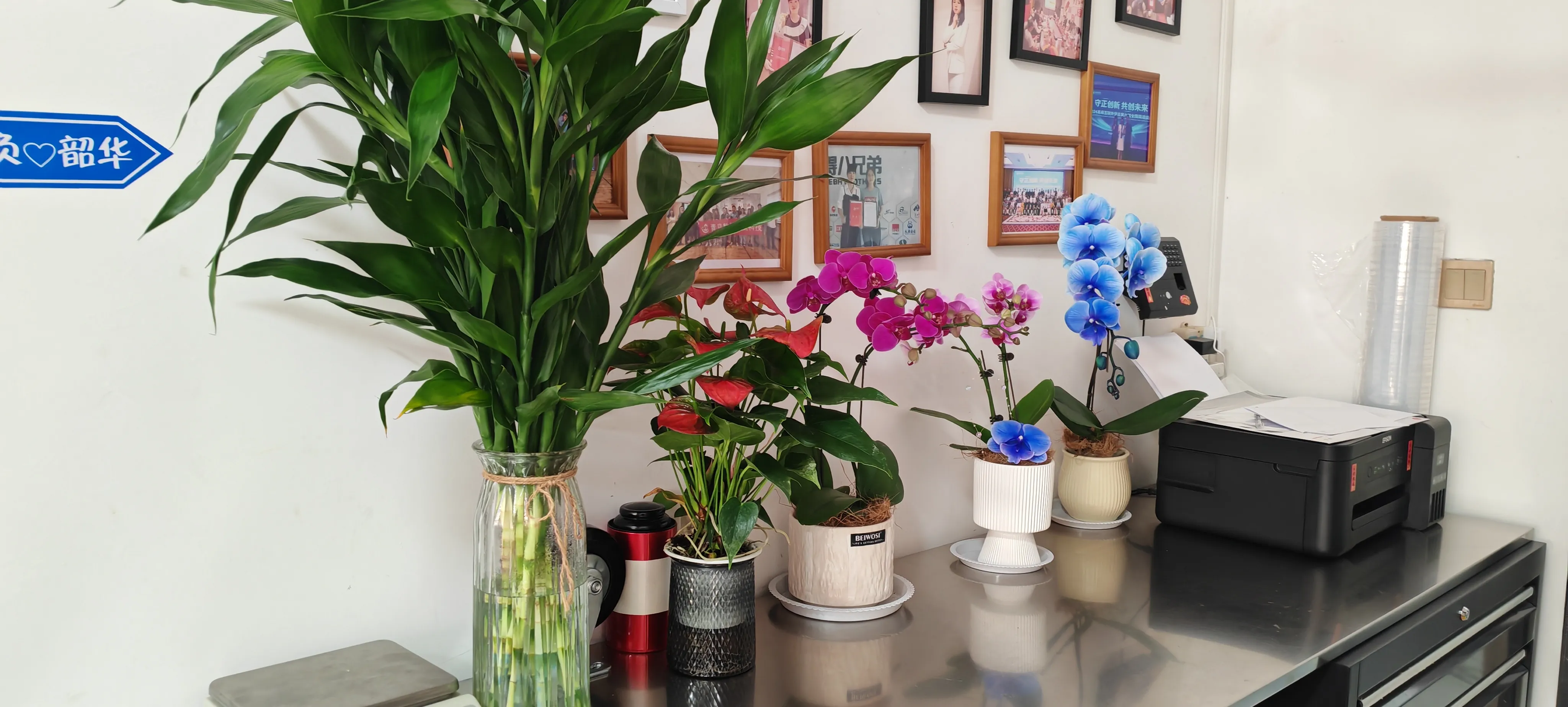 Καλωσορίσατε τους νέους φίλους του JOJO Pack!